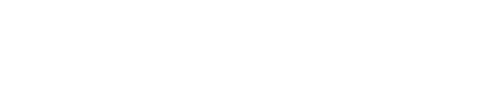Elvemy Conseils